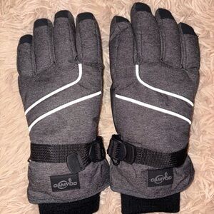 Gray Winter Gloves with Black Accents